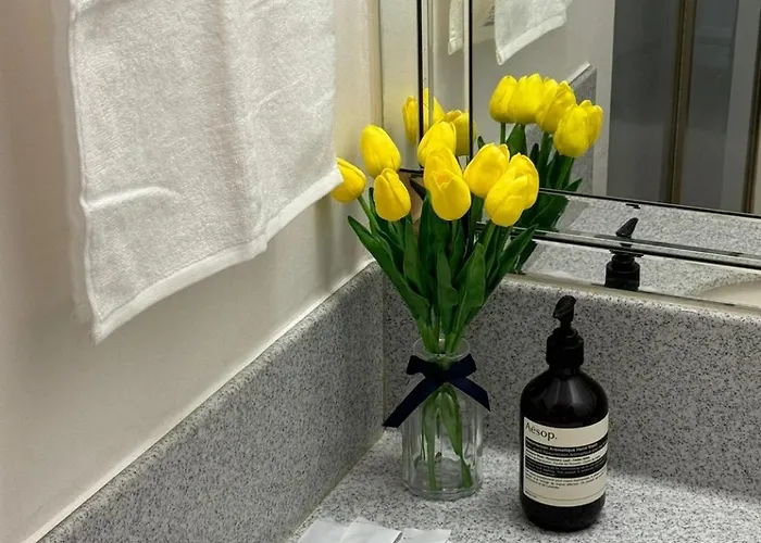 New Remodeling Hongdae House Seul
